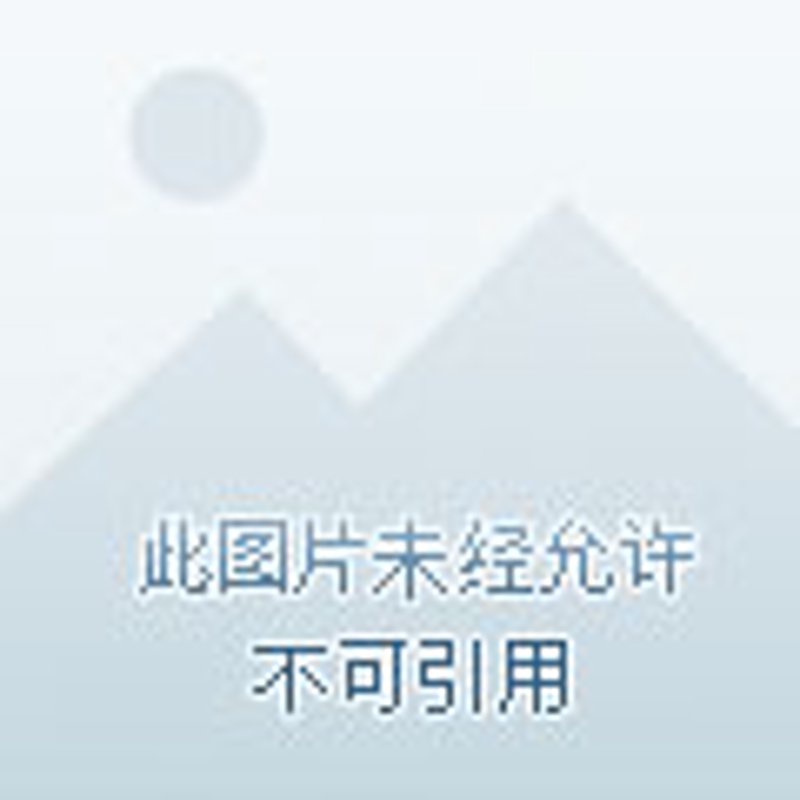 物流专线：避开五大误区，开启高效运输之旅